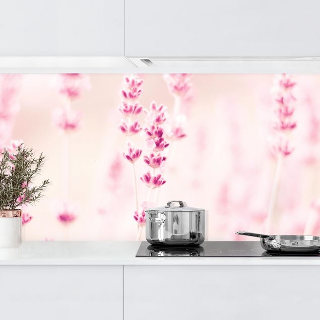 decoraçoes cozinha Pale Pink Lavender