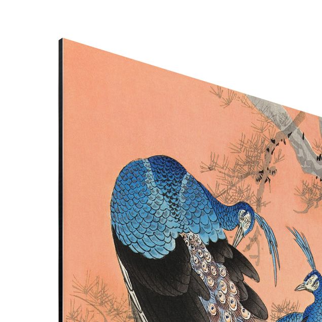 Quadros rosas Vintage Illustration Asian Peacock L