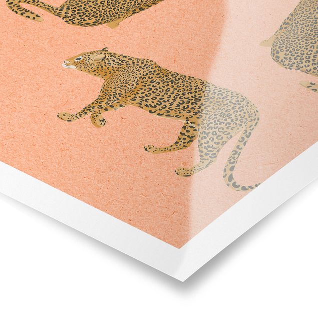 Quadros laranjas Illustration Leopard Pink Painting