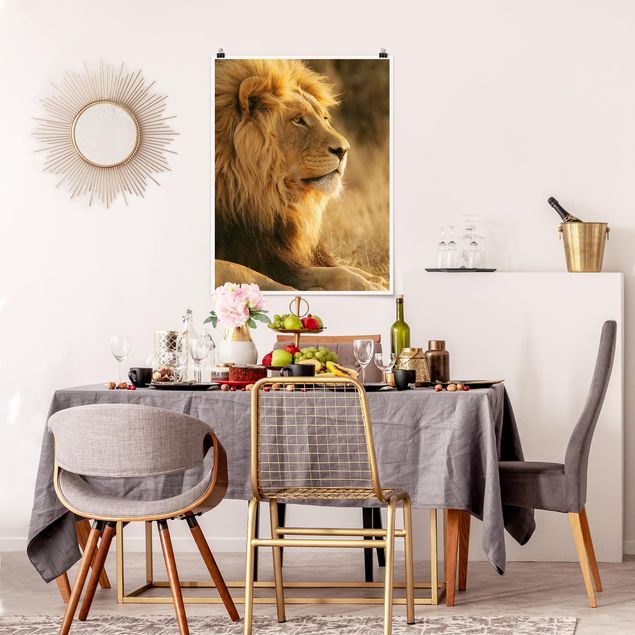 Posters animais King Lion