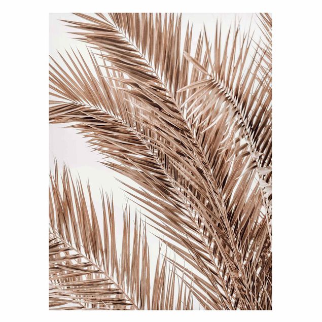 quadros de paisagens Bronze Coloured Palm Fronds