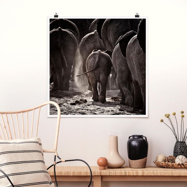 Quadros elefantes Going Home