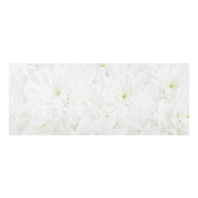 painéis antisalpicos Dahlias Sea Of Flowers White