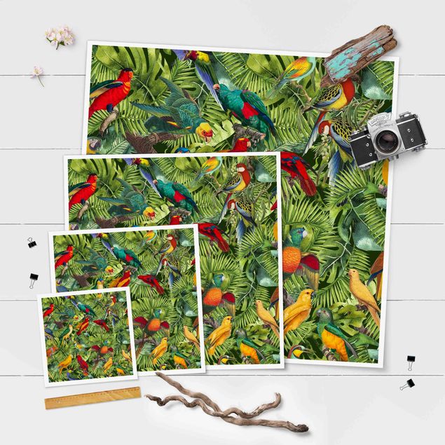 decoração quadros Colourful Collage - Parrots In The Jungle