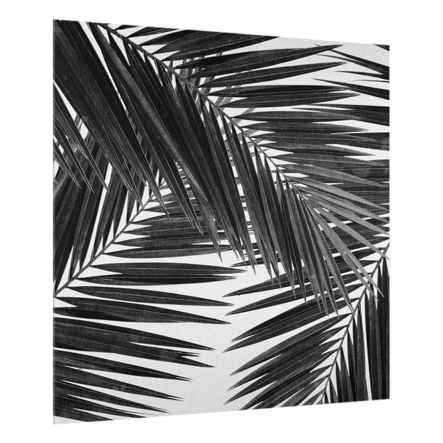 Painel antisalpicos View Through Palm Leaves Black And White