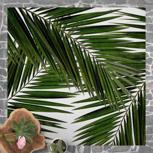 tapete varanda View Through Green Palm Leaves
