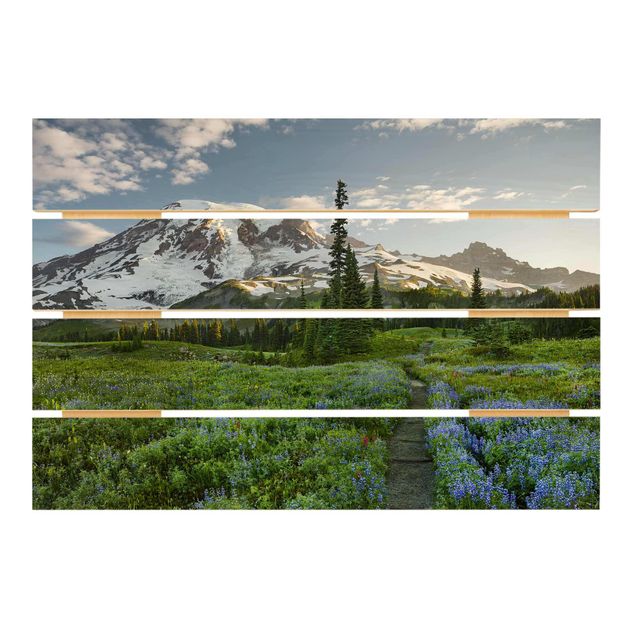 Quadros de Rainer Mirau Mountain View Meadow Path