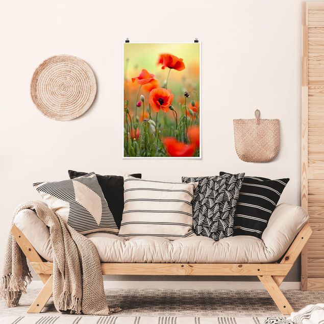 Posters flores Red Summer Poppy