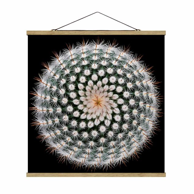 quadros modernos para quarto de casal Cactus Flower