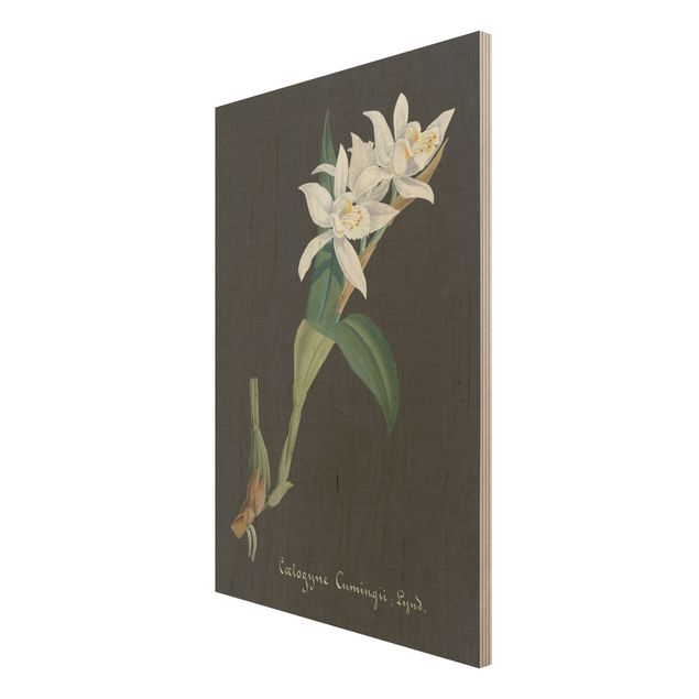 Quadros em madeira vintage White Orchid On Linen II
