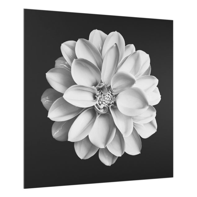 painéis antisalpicos Delicate Dahlia In Black And White