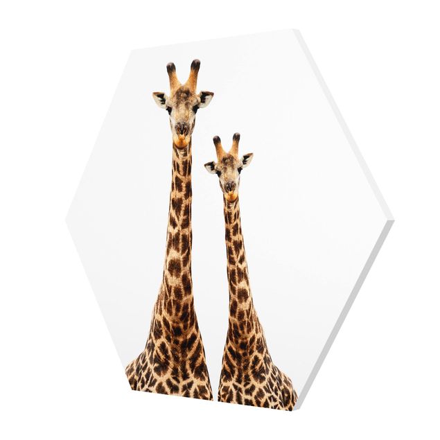 decoração quadros Portait Of Two Giraffes