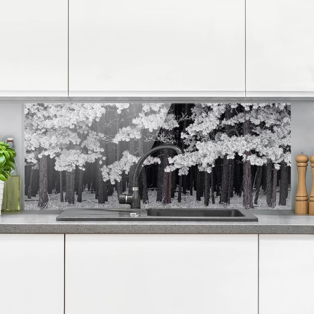 decoraçao para parede de cozinha Forest With Hoarfrost In Austria