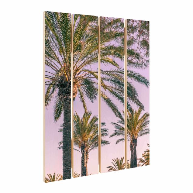 Quadros decorativos Palm Trees At Sunset