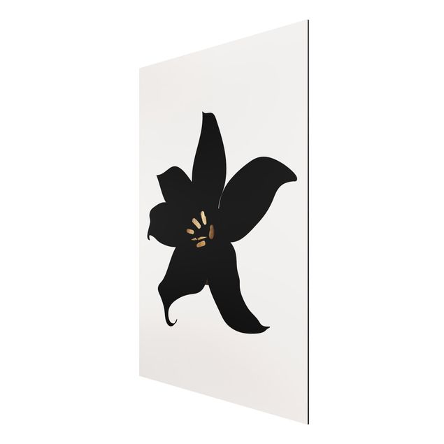 Quadros peixes Graphical Plant World - Orchid Black And Gold