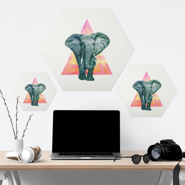 Quadros hexagonais Illustration Elephant Front Triangle Painting