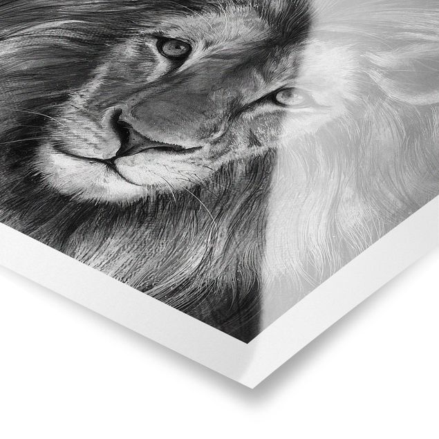 Quadros preto e branco Illustration Lion Monochrome Painting