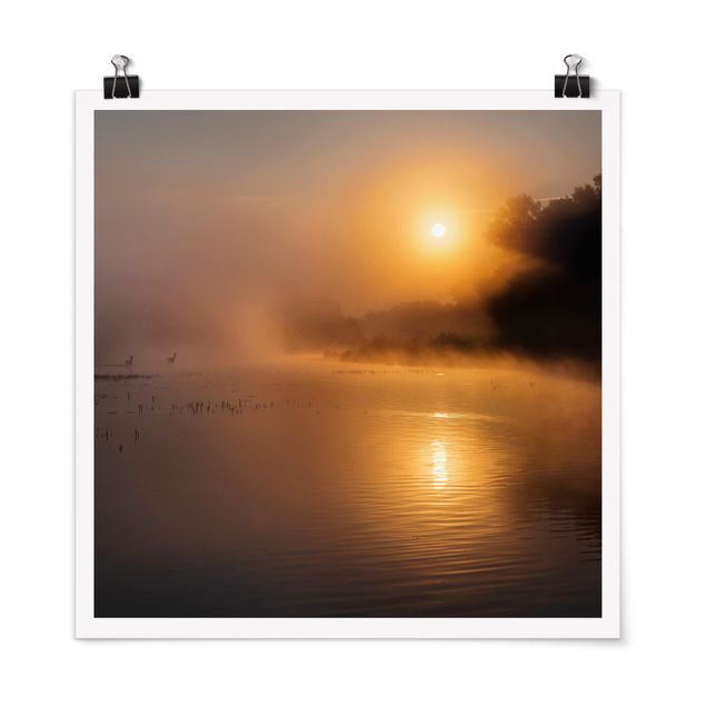 Posters paisagens Sunrise on the lake with deers in the fog