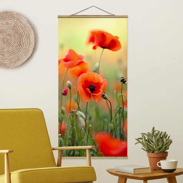 Quadros papoilas Red Summer Poppy