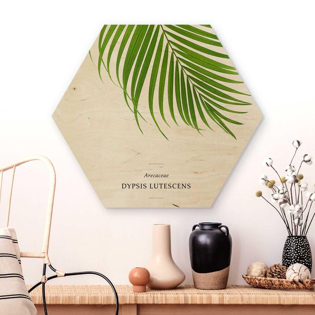 decoraçao para parede de cozinha Tropical Leaf Areca Palm