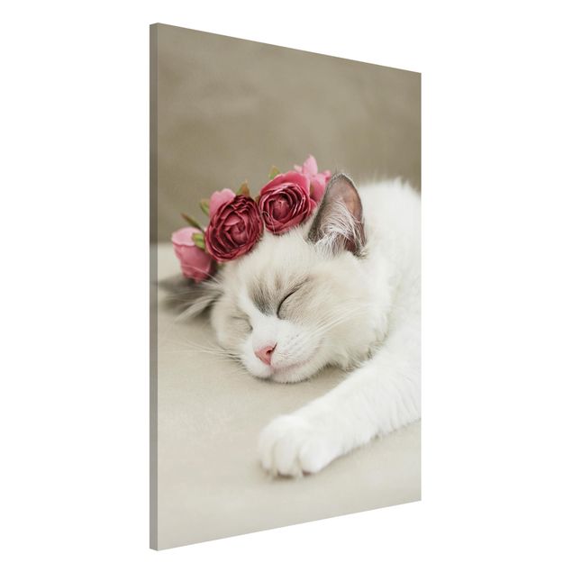 decoração para quartos infantis Sleeping Cat with Roses
