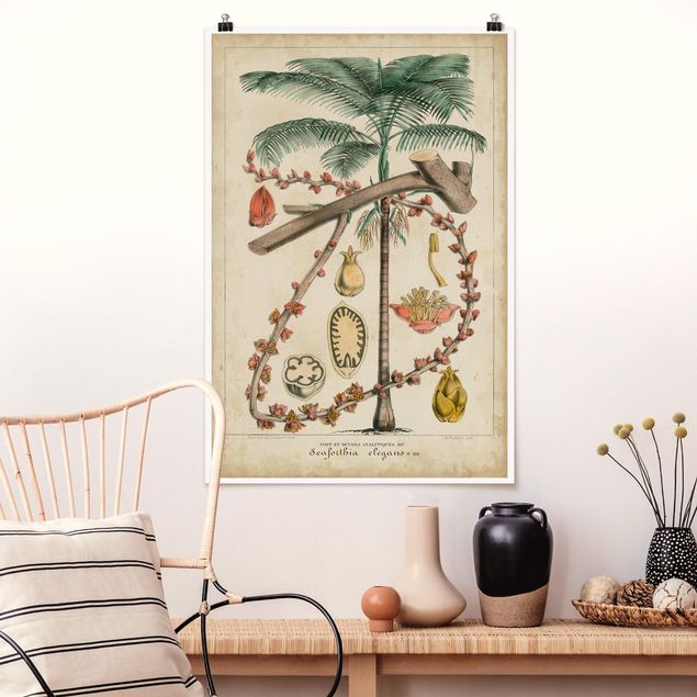decoraçao para parede de cozinha Vintage Board Exotic Palms II