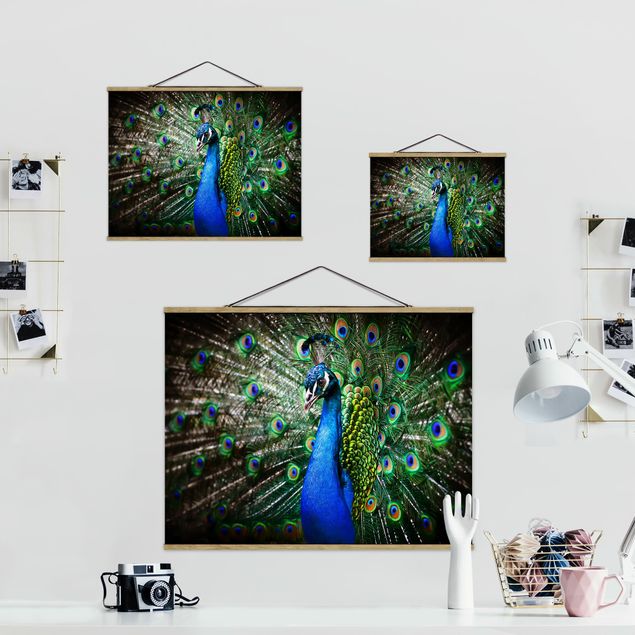 decoração quadros Noble Peacock