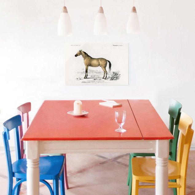 Quadros em vidro animais Vintage Board Horse