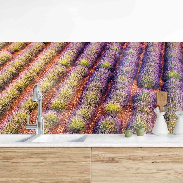 decoraçao cozinha Picturesque Lavender Field