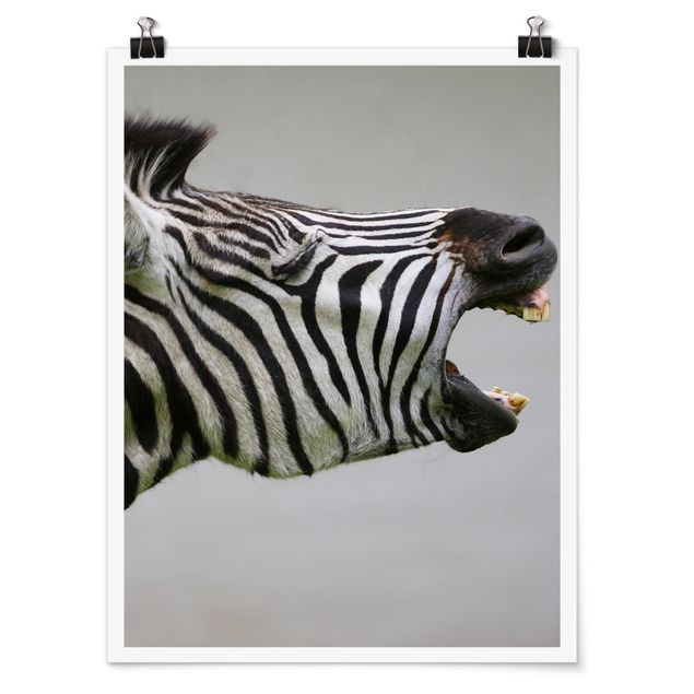 Quadros África Roaring Zebra