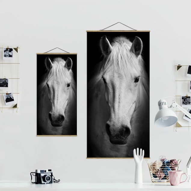 Quadros decorativos Dream Of A Horse