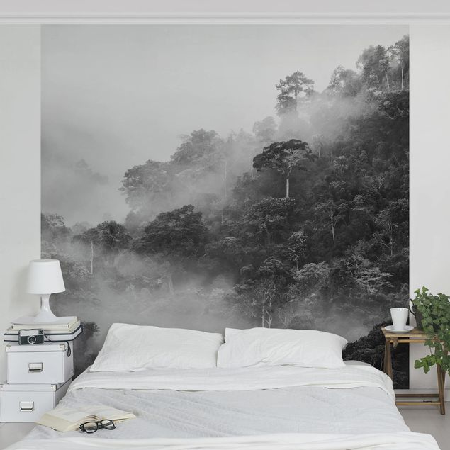Papel de parede florestas Jungle In The Fog Black And White