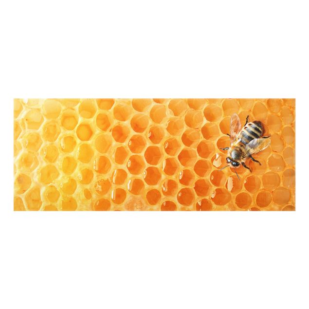 Painel anti-salpicos de cozinha Honey Bee