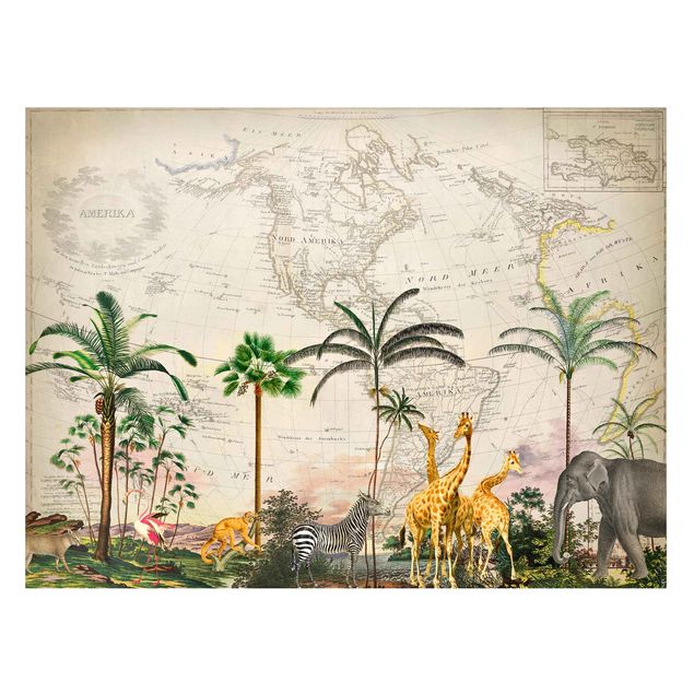Quadros magnéticos flores Vintage Collage - Wildlife On World Map