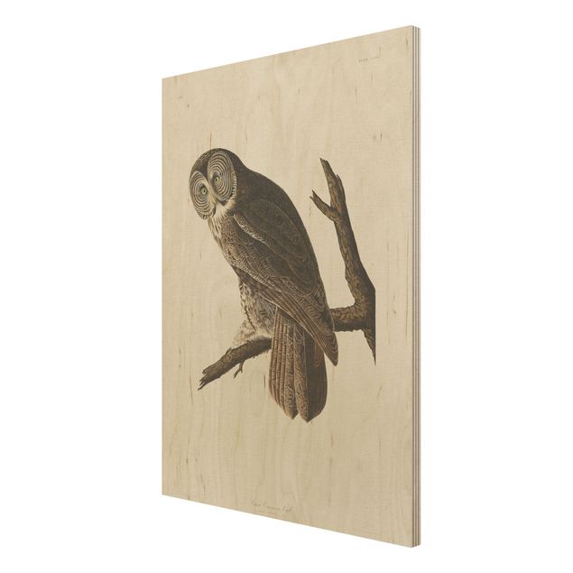 decoração quadros Vintage Board Great Owl