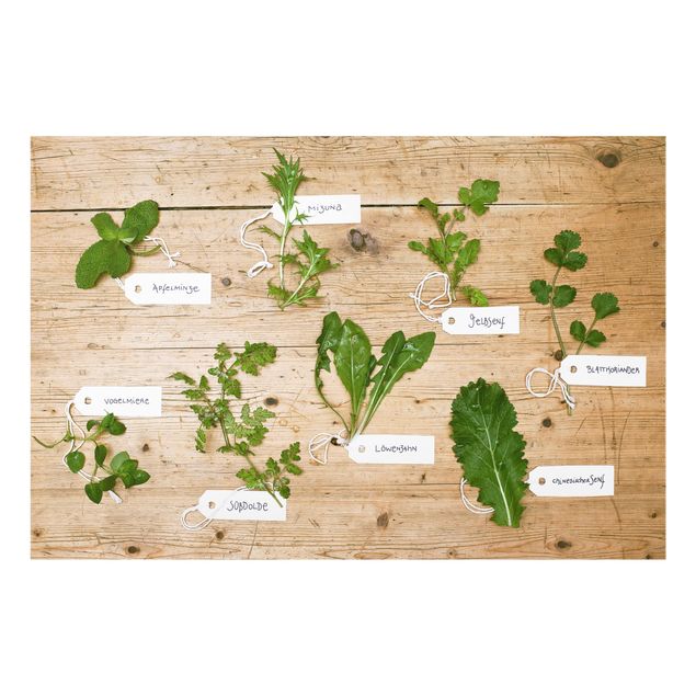 painel anti salpicos cozinha Herbs With Labeling