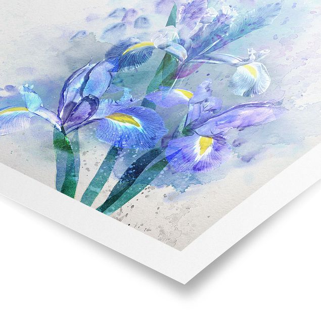 quadros de flores Watercolour Flowers Iris