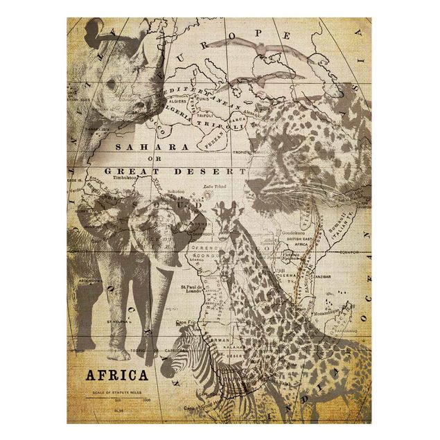 Quadros magnéticos mapas Vintage Collage - Africa Wildlife