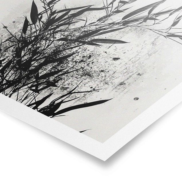 Posters em preto e branco Graphical Plant World - Black Bamboo