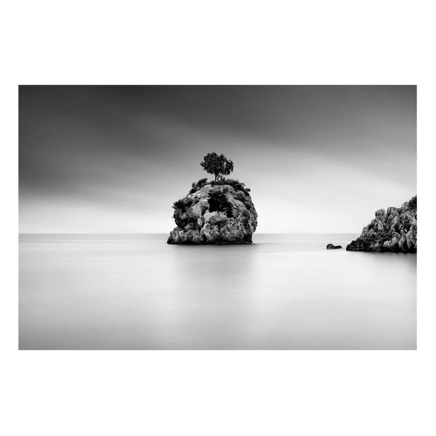 Quadros paisagens Rocky Island In The Sea Black And White