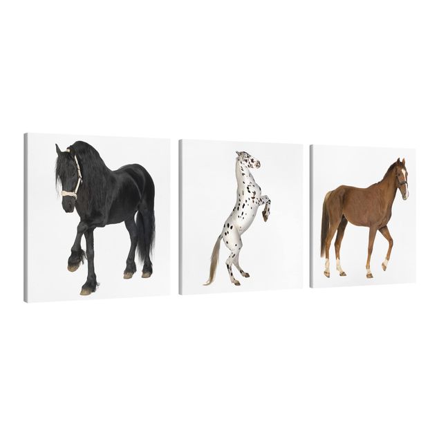 quadros decorativos para sala modernos Three Horses Trio