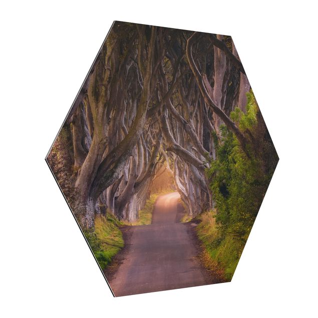 quadro em 3d Tunnel Of Trees