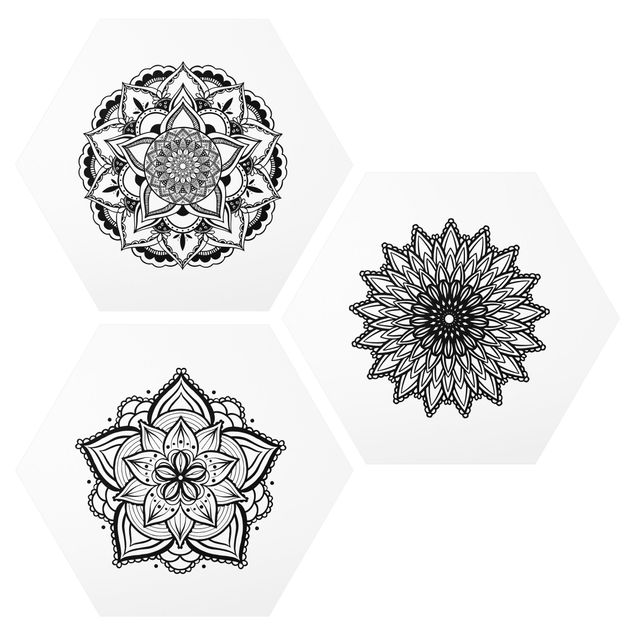 Quadros zen Mandala Flower Sun Illustration Set Black And White