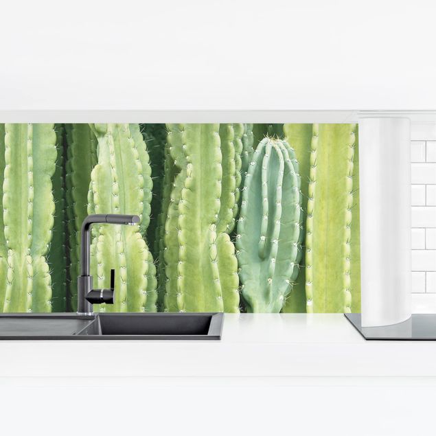 Películas autocolantes Cactus Wall