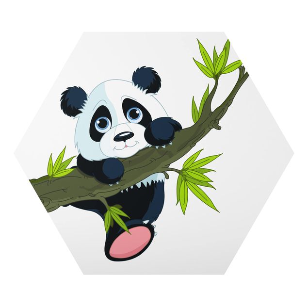 quadro da natureza Climbing Panda