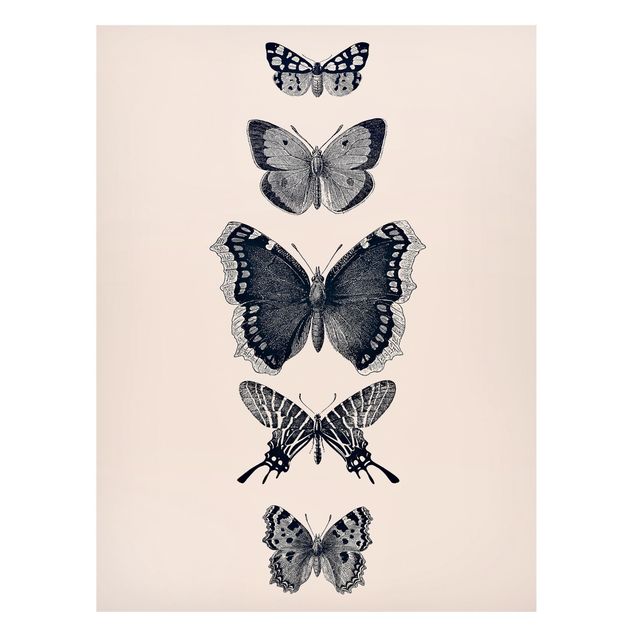 quadro com borboleta Ink Butterflies On Beige Backdrop