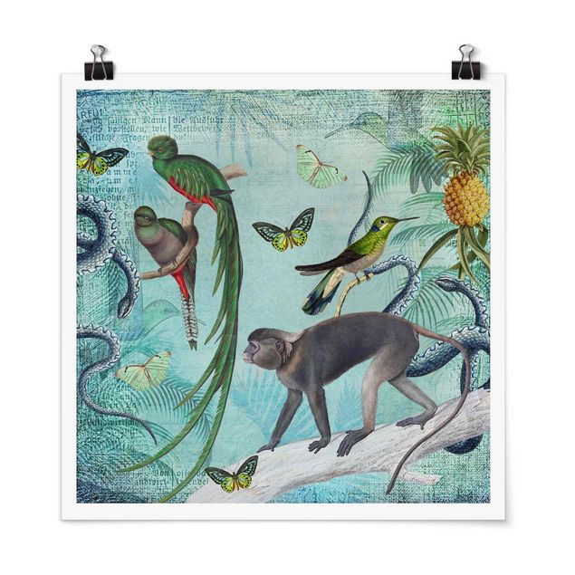 Posters flores Colonial Style Collage - Monkeys And Birds Of Paradise