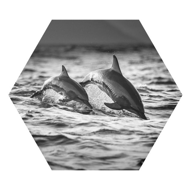 Quadros forex Two Jumping Dolphins