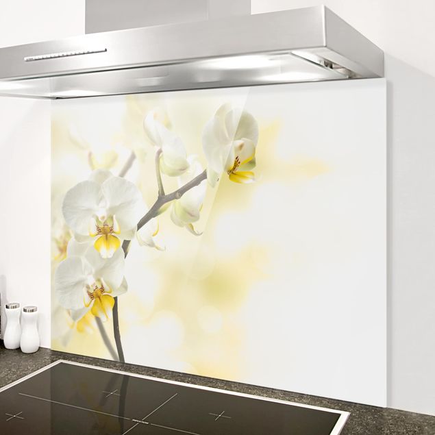 decoraçao cozinha orchid branch