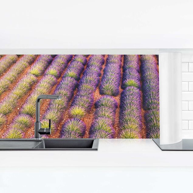 painéis antisalpicos Picturesque Lavender Field